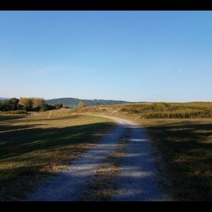 Meet your Posher, Masoud